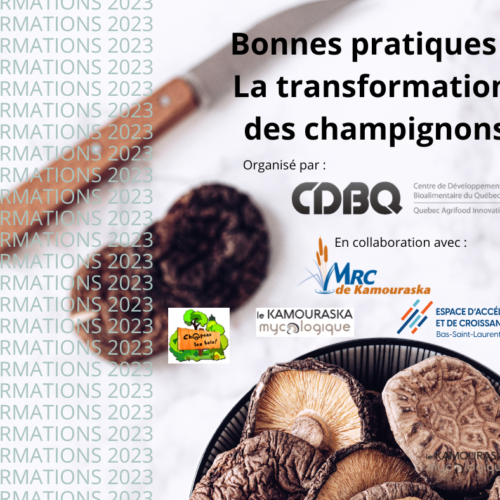 Favoriser l’innovation de produits mycologiques à haute valeur ajoutée au Bas-Saint-Laurent 7